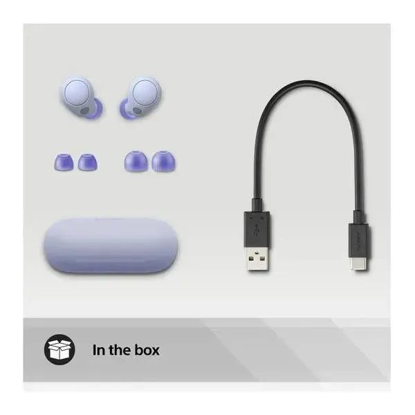 Sony WF-C700N True Wireless Noise Cancelling Bluetooth In-Ear Earbuds Lavender